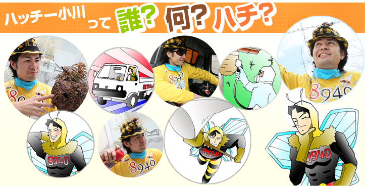 ハッチー小川って誰?何?ハチ?